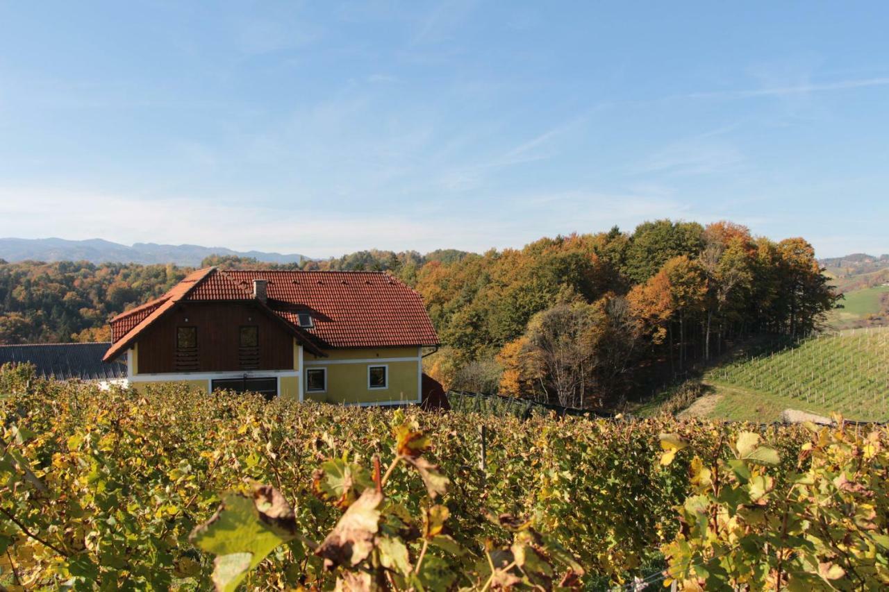 Vdovic Guest House Svecina Exterior photo